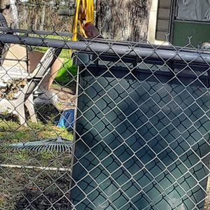 Meet your Posher, Celeste